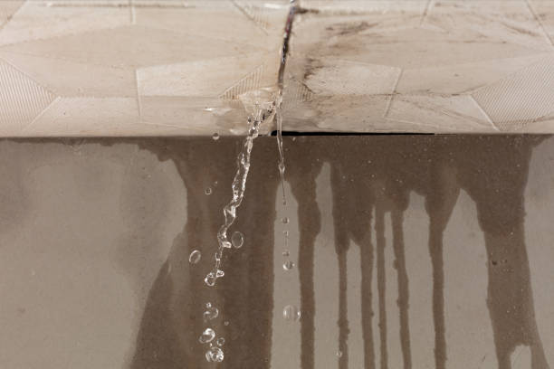 Professional Burst Pipe Cleanup technician working in Roswell, GA